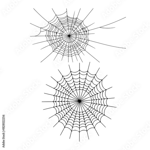 Spider web line art vector