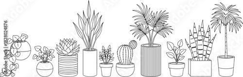 Set of potted house plants, black line art vector illustration, cactus, succulent, and palm trees, isolated on white background.