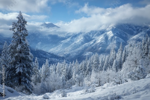 Wallpaper Mural Majestic winter landscape reveals snow-covered trees and mountains under a bright blue sky in a serene and peaceful setting Torontodigital.ca