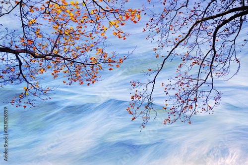 Autumn trees branches hanging over softly flowing water along a riverbank