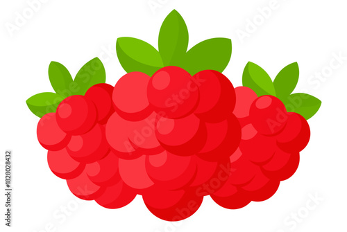 Three red raspberries art