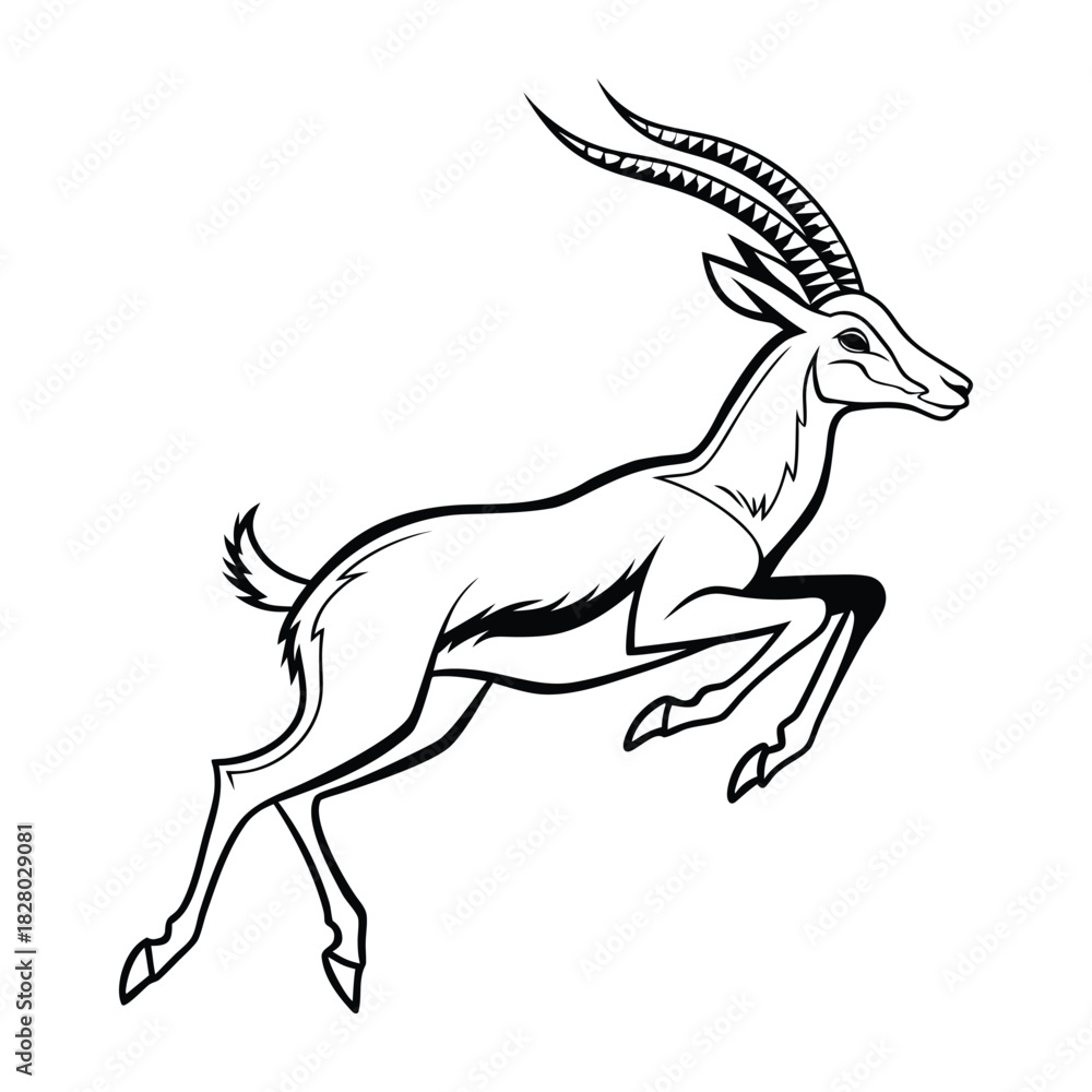 Fototapeta premium Leaping antelope, elegant safari antelope jumping with majestic horns, black and white outline vector. Vector