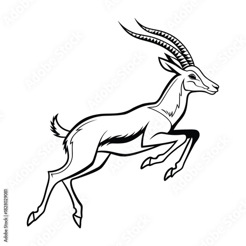 Leaping antelope, elegant safari antelope jumping with majestic horns, black and white outline vector. Vector