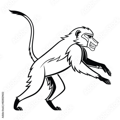 Baboon primate in aggressive crouch pose, showing teeth, isolated black and white line art Vector