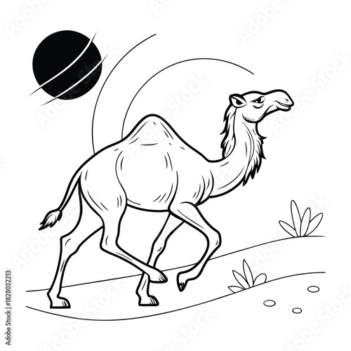 Desert camel illustration, walking across dunes under stylized sky, line art drawing Vector