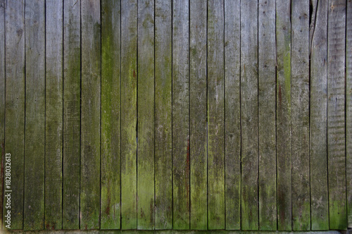 old board wall surface, greenish-gray surface, background