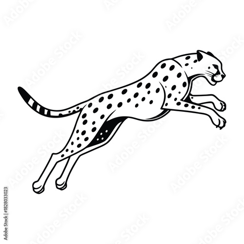 Stylized cheetah illustration in a powerful jumping stance, dynamic wild cat isolated vector art Vector