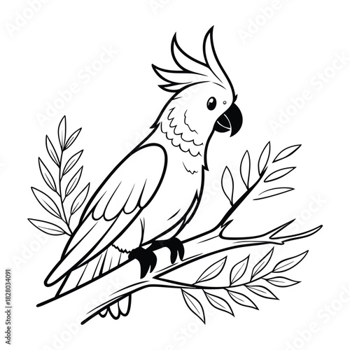 Line art illustration of a charming cockatoo parrot perched on a natural tree branch Vector