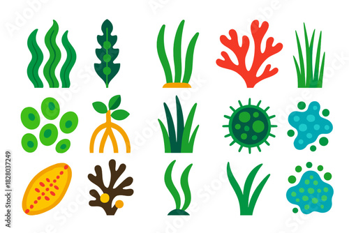 Marine Plant Icons. Flat vector icons of marine plants: seaweed, kelp, seagrass, red algae, green algae, mangrove root, salt marsh
