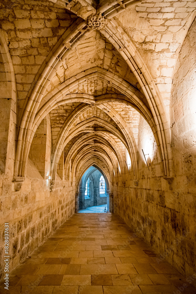 Fototapeta premium Crypte de la cathédrale de Bourges en France