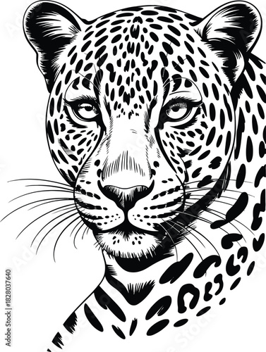 Detailed Hand Drawn Vector Illustration of Leopard Face Portrait