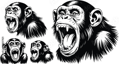 Chimpanzee face grimace angry expression engraving vector illustration
