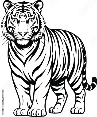 Tiger Standing Illustration in Black and White Vector Artwork