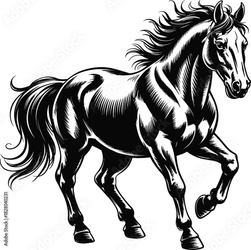 Vector Graphic of Elegant Black Horse Running on Transparent Backdrop
