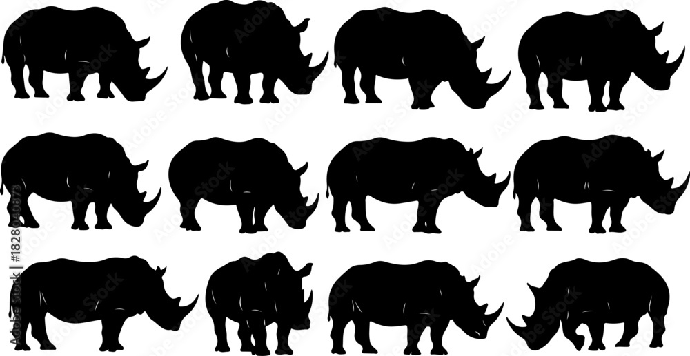 Obraz premium Rhino Silhouette Bundle
