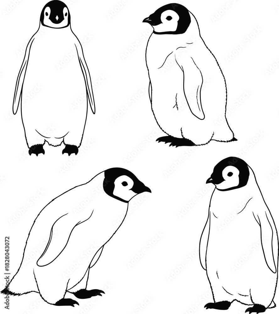 Naklejka premium Set of baby emperor penguin chicks in various poses, hand-drawn vector outline illustration depicting wildlife and polar animals.