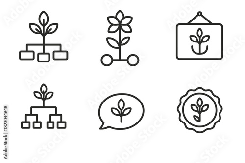 Ethnobotanical Icons Chart. Line style icons of ethnobotanical taxonomy: plant classification chart, genus/species icon,