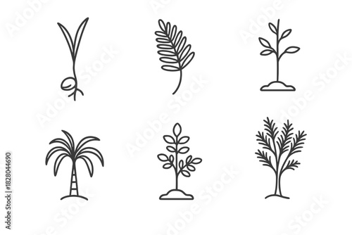 Desert Tree Icons. Line style icons of desert tree species: date palm sprout, mesquite leaf, acacia seedling, desert willow icon,