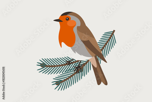 A robin perches on a pine branch.