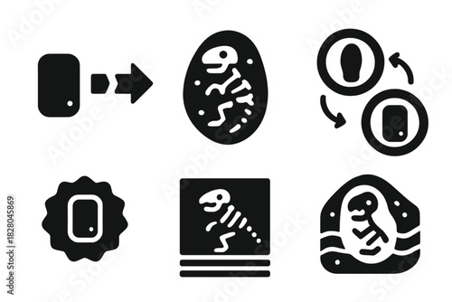 Product Evolution Icons. Solid style icons of product evolution timeline: item-to-skeleton diagram, early prototype fossil, design