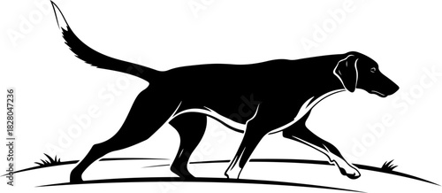 Dog Sniffing by Pine Tree Silhouette