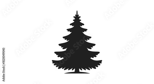Evergreen tree illustration in dark silhouette style on white background silhouette