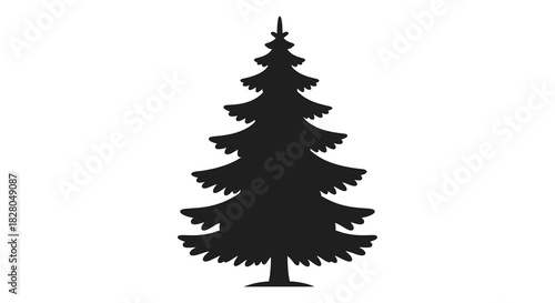 Elegant evergreen tree illustration in dark silhouette style silhouette