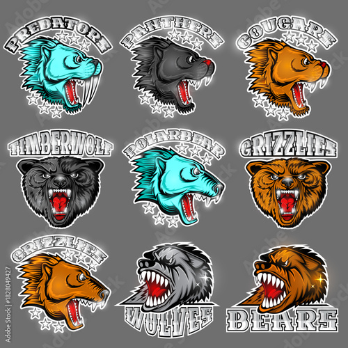 Aggressive Animals Mascot Set for Sports Teams.  Vector illustration of team symbols Wolf, bear, polar bear, cougar, panther, timberwolf, grizzly