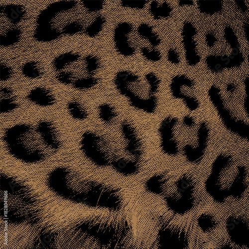 Vector background graphic, halftone animal skin pattern, leopard pattern.