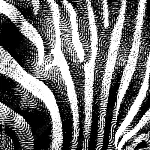 Vector background graphic, halftone animal skin pattern, zebra pattern.