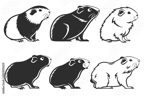 Minimalist guinea pig icon set with vibrant colors