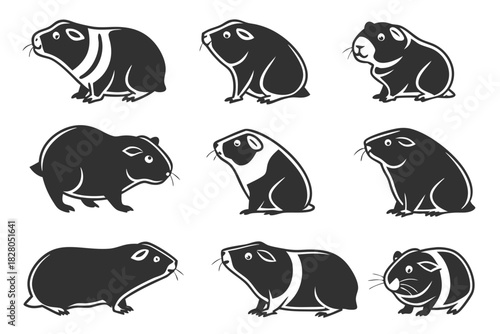 Minimalist guinea pig icon set with vibrant colors