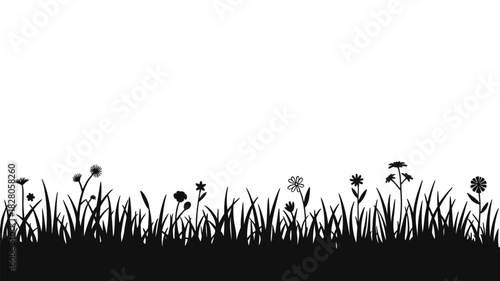 Black silhouette of wild grass and flowers on white background