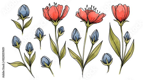 Watercolor hand-drawn illustration of red flowers and blue buds
