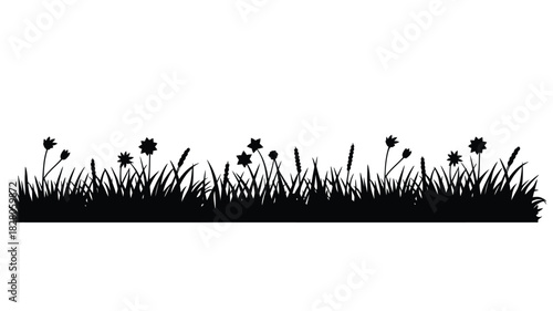 Silhouette of wild grasses and flowers against white background