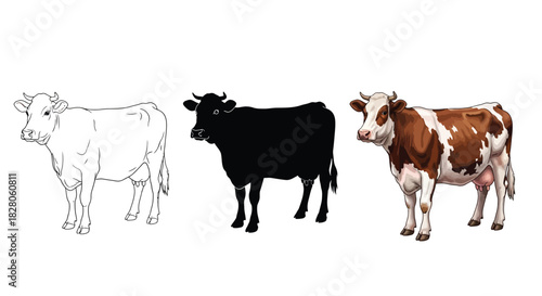 Three artistic representations of a cow line drawing, silhouette and colored illustration