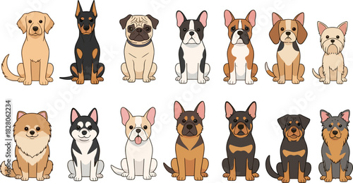 Diverse collection of popular dog breeds in a charming cartoon vector style, featuring sitting Golden Retriever, Doberman, Pug, Bulldog, and small terrier characters, ideal for pet store branding