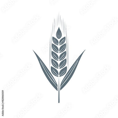 Wheat plant graphic icon. Healthy food symbol isolated on white background