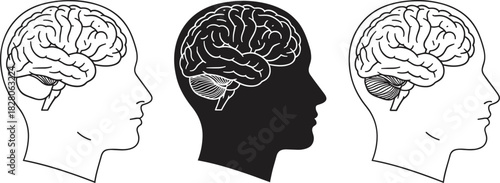 Mind, Intelligence, Psychology, Thinking, Science, Neurology, Anatomy, and Medical Symbol