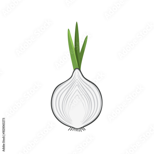 A single white onion cut in half showing internal layers and green sprouts illustration