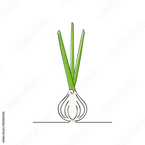 Single green onion with white bulb and green stalks drawn in continuous line art style
