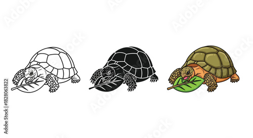 Three illustrations of a turtle eating a leaf outline, silhouette and colored versions