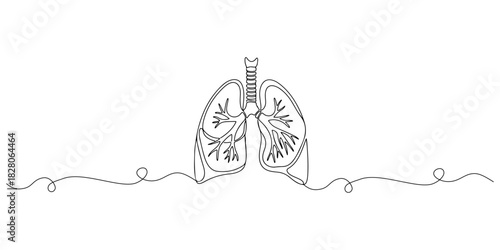 Continuous one line of a healthy lung, representing breathing and respiratory education, drawn vector illustration.