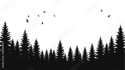 Silhouette of a pine forest with birds flying above