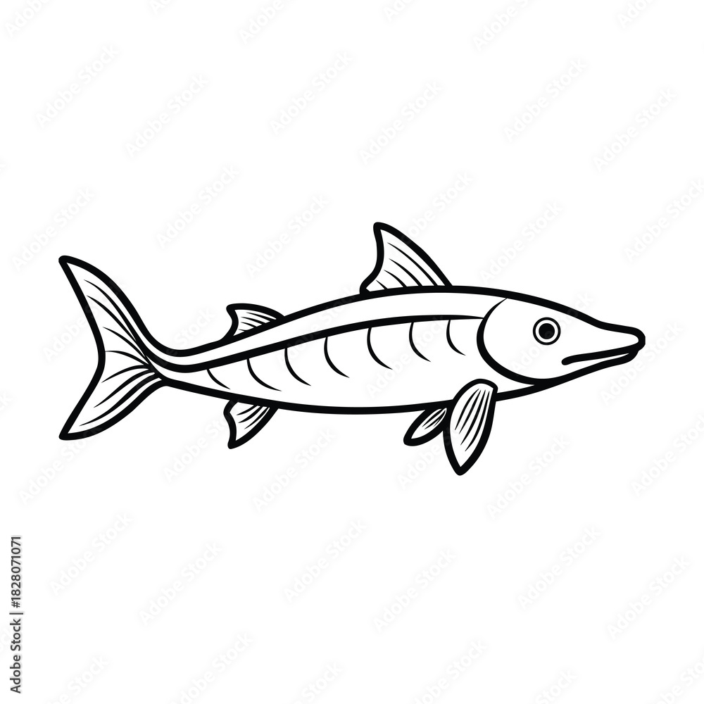 Fototapeta premium Vector illustration of a marine animal fish isolated on a white background, useful for icon, food, fishing, and seafood concepts