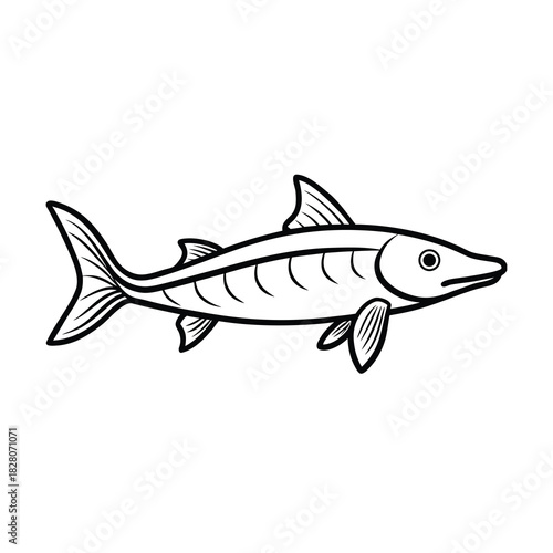 Vector illustration of a marine animal fish isolated on a white background, useful for icon, food, fishing, and seafood concepts