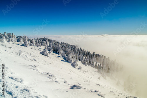 Fototapeta Naklejka Na Ścianę i Meble -  Winter panorama of Śnieżnik Mountain in the Sudetes with temperature inversion and snowy forest