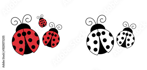 Colorful and monochrome ladybug illustrations in varying sizes, featuring classic red with black spots and elegant black and white designs
