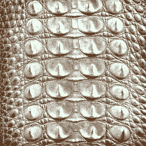 Vector background graphic, halftone animal skin pattern, crocodile leather pattern.