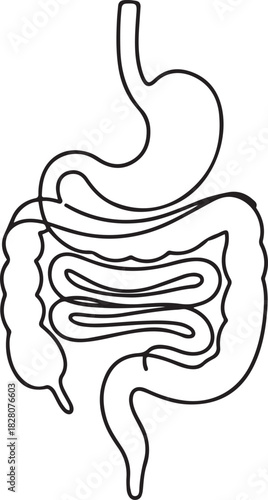 Continuous one line drawing of Human digestion. Single line drawing illustration of Human Digestive. one line Icon drawing
